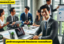 pedrovazpaulo business consultant