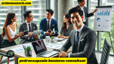 pedrovazpaulo business consultant